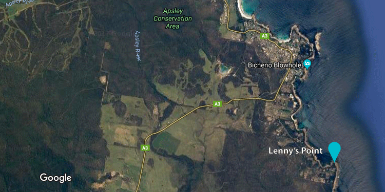 Map of Lenny's Point location